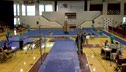 Springfield (Jeanna Bradle) - 8.450