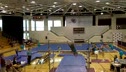 Springfield (Marissa Rusin) - 8.100