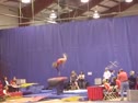 Cornell (Kim O'Donnell) -9.300