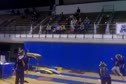 West Chester (Alli Aquila) - 9.425