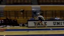 Yale (Talis Trevino)