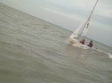 Will Whipes out
