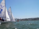 Race 8A: Start