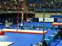 09 World Championships Still Rings Prelims