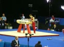 AA Finals Pommel Horse 09 World Championships