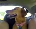 Maggie