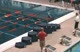 Award Ceremony, 100 Free Award Ceremony, 100 Free