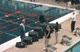 Award Ceremony, 500 Free