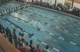 M hs 500 scy free finals ha d2