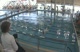 w college 1650 scy free finals h1 d3