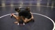 Mike Helm - Low Leg Cradle