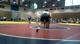 karim vs tree trunks