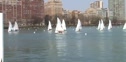 Race B1