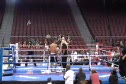 Robert vs Brian