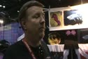 Swim with da fishes-Joe Quinn