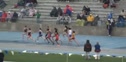 W 800 H01