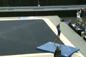 Alaina Johnson FX EF