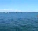 505 race 1 Saturday - smaller file with more footage