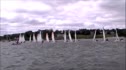Race 4b
