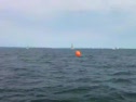 Multihulls - BBR - Tom Charpentier