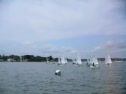 Opti sailing - starts