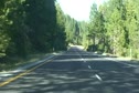 Paper Route - Mammoth Lakes, CA