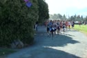 Start of JV Boys race at the 2011 DLS-CHS Nike Invitational