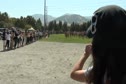 Start of Varsity Boys race at the 2011 DLS-CHS Nike Invitational