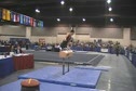 Pommel Horse- Stanford- Kyle Oi