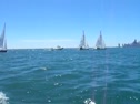 Upwind Beat with Light Blue and Maroon