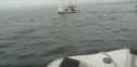 Trying to Start a race