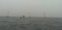 Foggy Morning