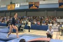 UCLA (Elyse Hopfner-Hibbs) exhibition