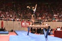 UTAH (Jamie Deetscreek 9.900)