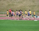 800m 06/03 - Wellington
