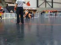 Dom Bradley Mu v. Mark Ellis MU