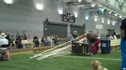 Casey Roche 5.36m attempt