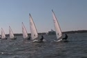 Laser Radial Race, Sunday