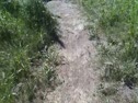 Nats-top cross country course
