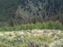 Nats-mid course downhill