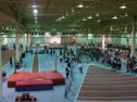 sectio