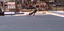 California (Glen Ishino) - 15.15