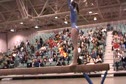 Salto (Bridget Hodan)