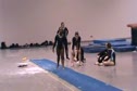 Docksiders (Brianna Guy)